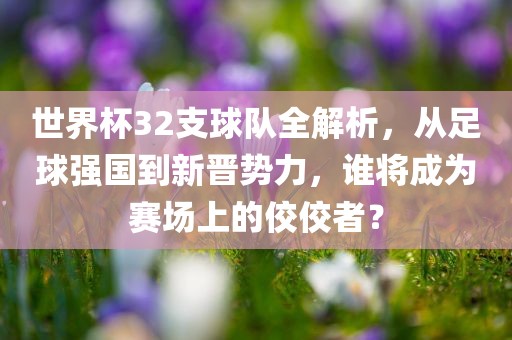 世界杯32支球队全解析，从足球强国到新晋势力，谁将成为赛场上的佼佼者？漯河市盈旭机械设备有限公司