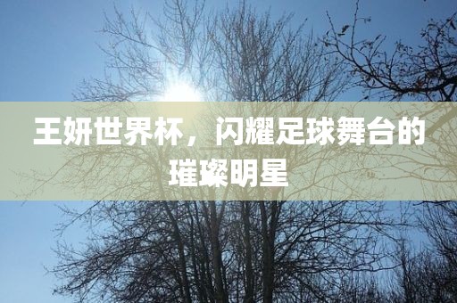 王妍世界杯，闪耀足球舞台的璀璨明星漯河市盈旭机械设备有限公司