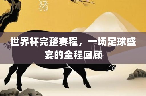 世界杯完整赛程，一场足球盛宴的全程回顾