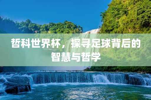 哲科世界杯，探寻足球背后的智慧与哲学漯河市盈旭机械设备有限公司