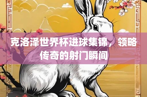 克洛泽世界杯进球集漯河市盈旭机械设备有限公司锦，领略传奇的射门瞬间