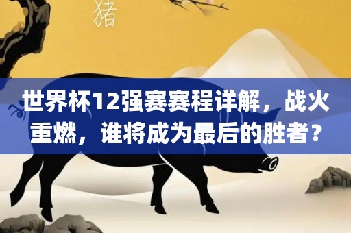 世界杯12强赛赛程详解，战火重燃，谁将成为最后的胜者？