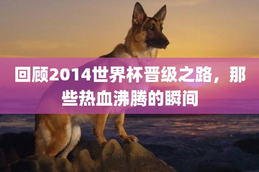 回顾2014世界杯晋级之路，那些热血沸腾的瞬间