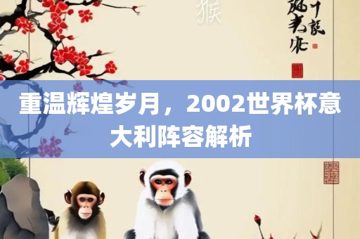 重温辉煌岁月，2002世界杯意大利阵容解析漯河市盈旭机械设备有限公司