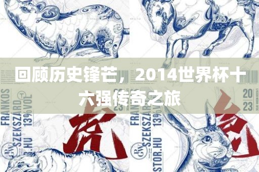 回顾历史锋芒，2014世界杯十六强传奇之旅