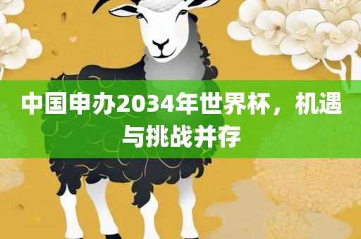 中国申办2034年世界杯，机遇与挑战并存