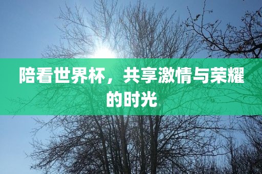 linzizhu 第6页