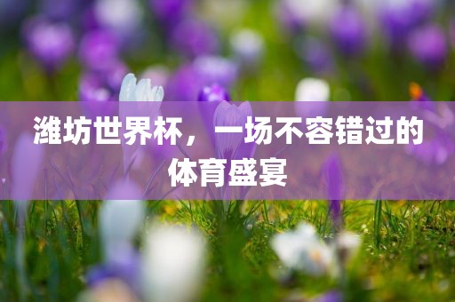 潍坊世界杯，一场不容错过的体育盛宴