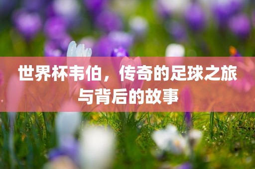 世界杯韦伯，传奇的足球之旅与背后的故事漯河市盈旭机械设备有限公司