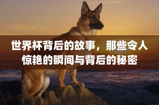 世界杯背后的故事，那些令人惊艳的瞬间与背后的秘密