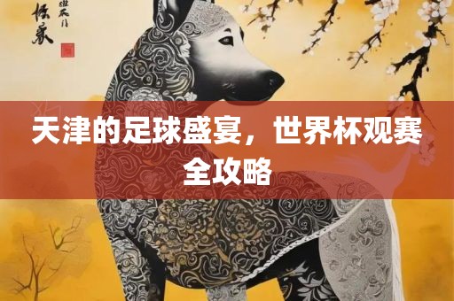 天津的足球盛宴，世界杯观赛全攻略漯河市盈旭机械设备有限公司