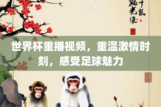 世界杯重播视频，重温激情时刻，感受足球魅力漯河市盈旭机械设备有限公司