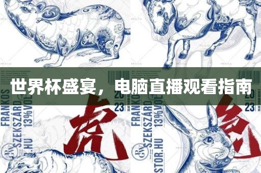 世界杯盛宴，电脑直播观看指南漯河市盈旭机械设备有限公司