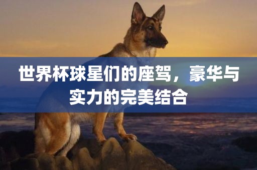 世界杯球星们的座驾，豪华与实力的完美结合
