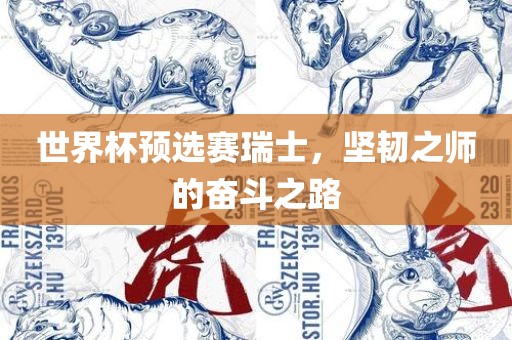 世界杯预选赛瑞士，坚韧之师的奋斗之路