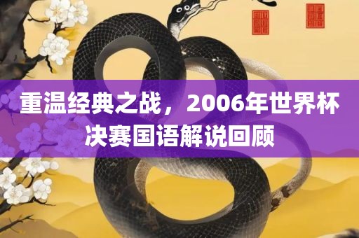 重温经典之战，2006年世界杯决赛国语解说回顾漯河市盈旭机械设备有限公司