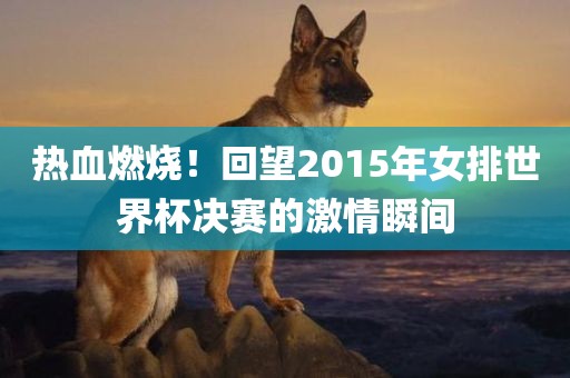 热血燃烧！回望2015年女排世界杯决赛的激情瞬间