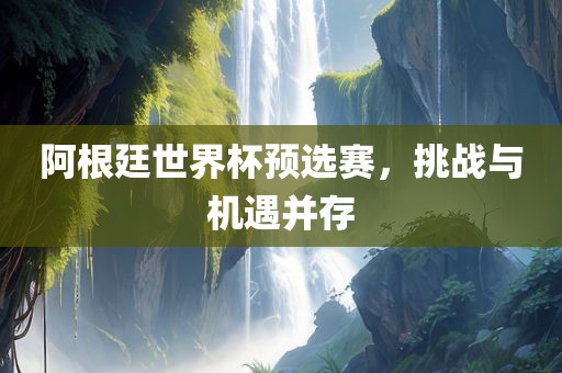 阿根廷世界杯预选赛，挑战与机遇并存