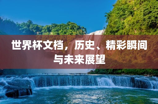 世界杯文档，历史、精彩瞬间与未来展望