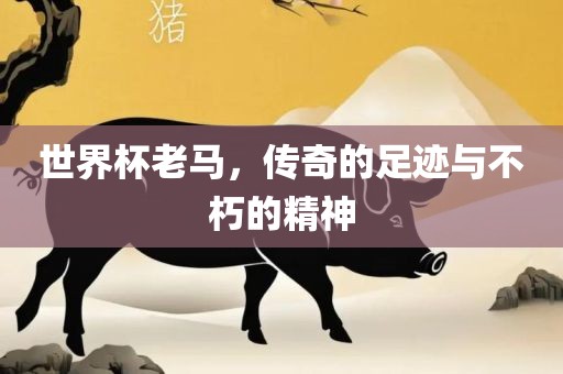 世界杯老马，传奇的足迹与不朽的精神