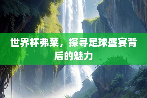 世界杯弗莱，探寻足球盛宴背后的魅力漯河市盈旭机械设备有限公司