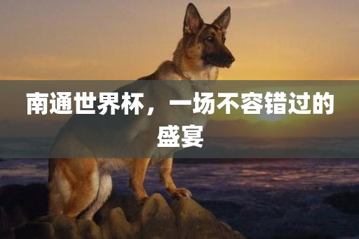 南通世界杯，一场不容错过的盛宴