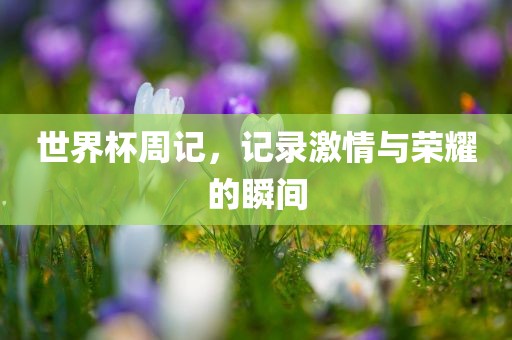 世界杯周记，记录激情与荣耀的瞬间漯河市盈旭机械设备有限公司