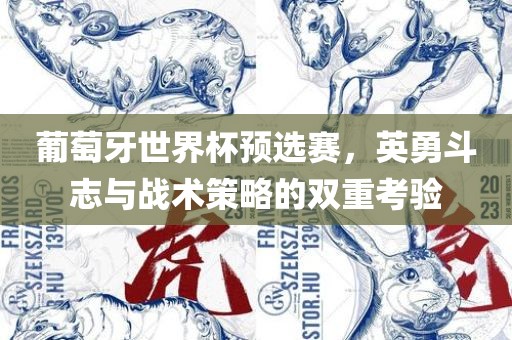 葡萄牙世界杯预选赛，英勇斗志与战术策略的双重考验漯河市盈旭机械设备有限公司