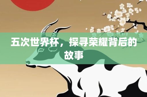 五次世界杯，探寻荣耀背后的故事漯河市盈旭机械设备有限公司