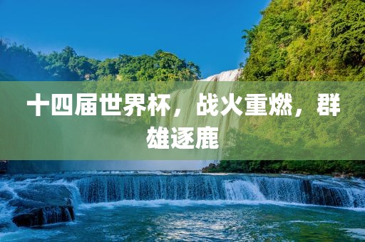十四届世界杯，战火重燃，群雄逐鹿漯河市盈旭机械设备有限公司