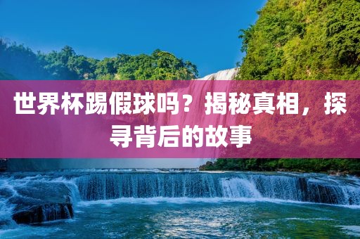 世界杯踢假球吗？揭秘真相，探寻背后的故事