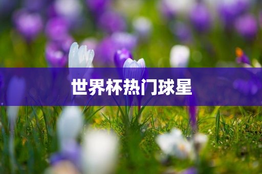 世界杯热门球星