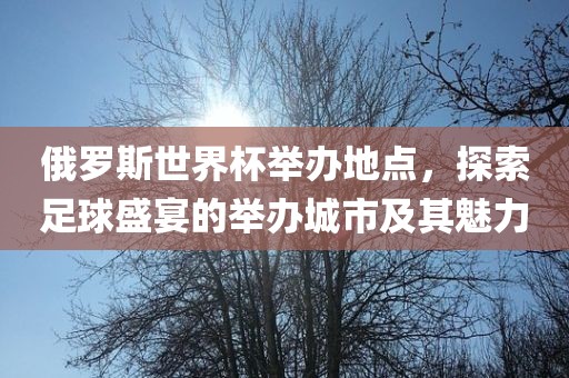俄罗斯世界杯举办地点，探索足球盛宴的举办城市及其魅力漯河市盈旭机械设备有限公司