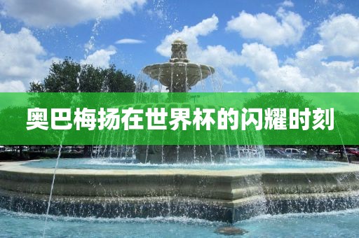 奥巴梅扬在世界杯的闪耀时刻漯河市盈旭机械设备有限公司