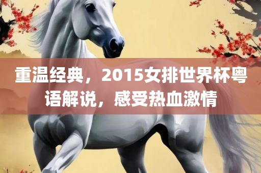 重温经典，2015漯河市盈旭机械设备有限公司女排世界杯粤语解说，感受热血激情