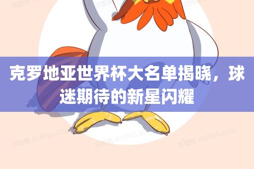 克罗地亚世界杯大名单揭晓，球迷期待的新星闪耀