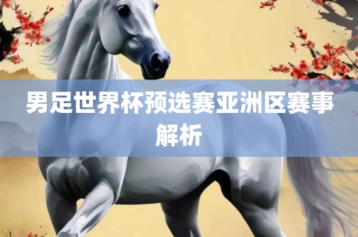 男足世界杯预选赛亚洲区赛事解析