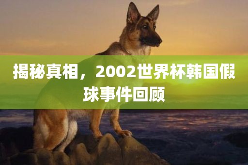 揭秘真相，2002世界杯韩国假球事件回顾