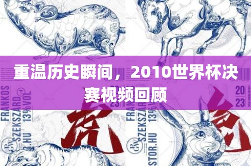 重温历史瞬间，2010世界杯决赛视频回顾