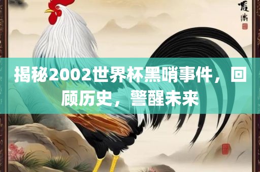揭秘2002世界杯黑哨事件，回顾历史，警醒未来
