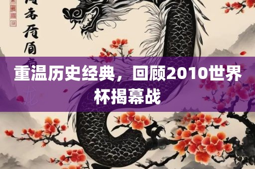 重温历史经典，回顾2010世界杯揭幕战