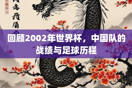 回顾2002年世界杯，中国队的战绩与足球历程