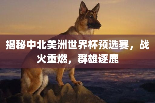 揭秘中北美洲世界杯预选赛，战火重燃，群雄逐鹿