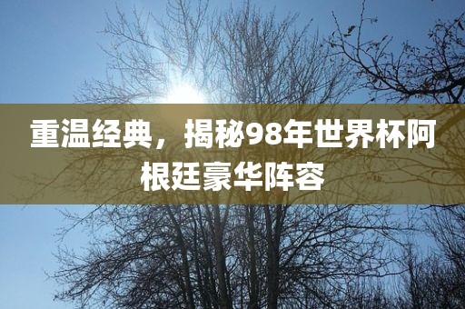 重温经典，揭秘98年世界杯阿根廷豪华阵容