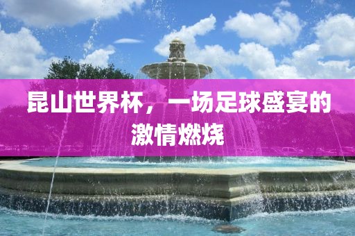 足球盛宴 第8页