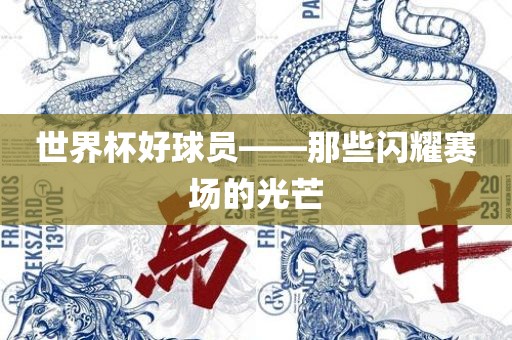 世界杯好球员——那些闪耀赛场的光芒漯河市盈旭机械设备有限公司