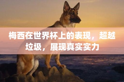 梅西在世界杯上的表现，超越垃圾，展现真实实力