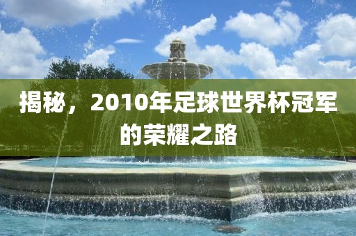 揭秘，2010年足球世界杯冠军的荣耀之路