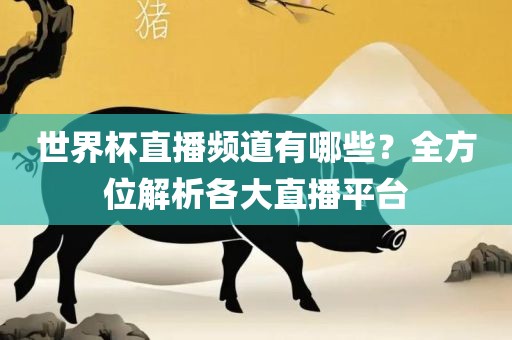世界杯直播频道有哪些？全方位解析各大直播平台