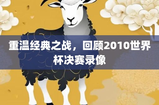 重温经典之战，回顾2010世界杯决赛录像漯河市盈旭机械设备有限公司